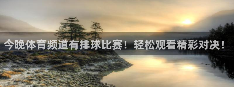 今晚体育频道有排球比赛！轻松观看精彩对决！