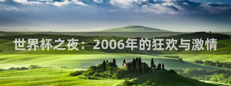 世界杯之夜：2006年的狂欢与激情