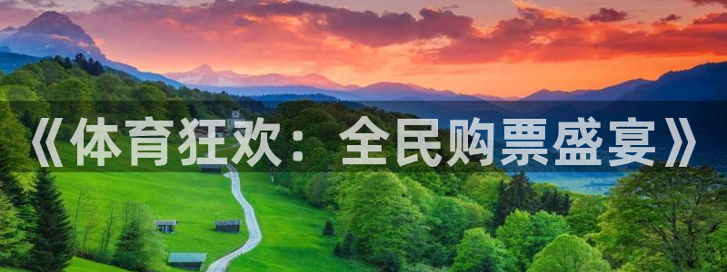 《体育狂欢：全民购票盛宴》