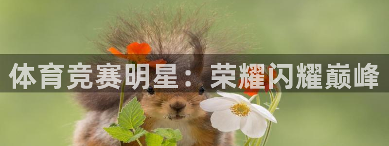 体育竞赛明星：荣耀闪耀巅峰