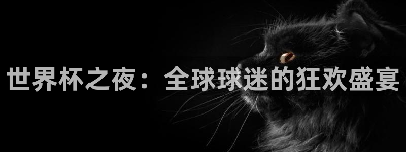 世界杯之夜：全球球迷的狂欢盛宴