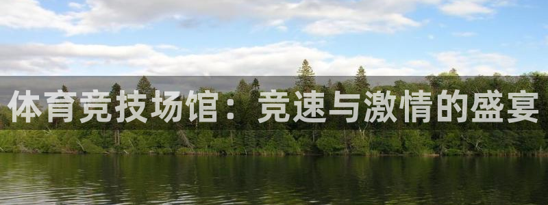 体育竞技场馆：竞速与激情的盛宴