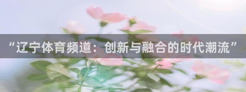 “辽宁体育频道：创新与融合的时代潮流”