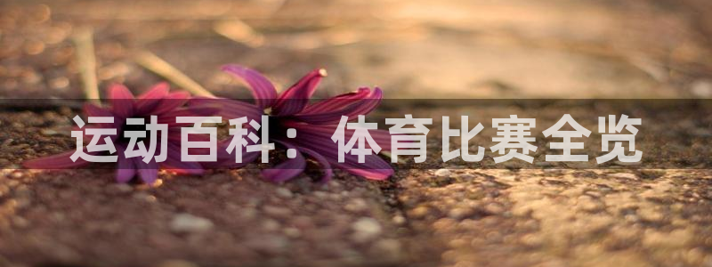 运动百科：体育比赛全览