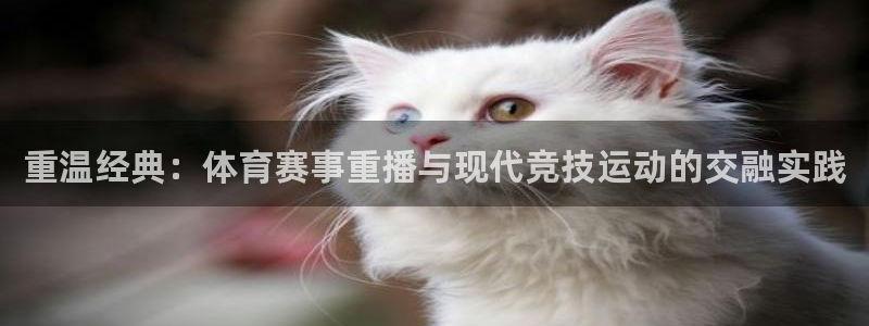 重温经典：体育赛事重播与现代竞技运动的交融实践