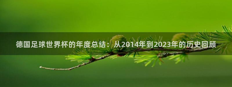 德国足球世界杯的年度总结：从2014年到2023年的历史回顾